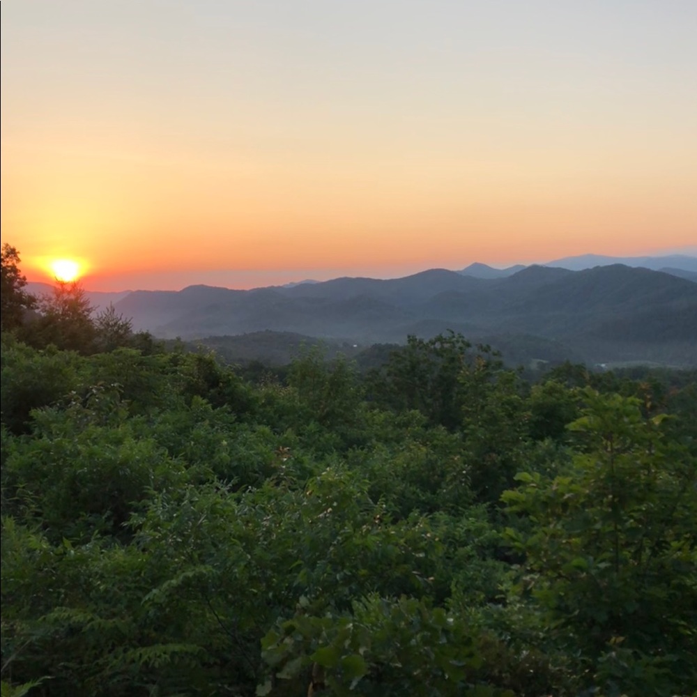 Meet your Posher, Dr. sojar